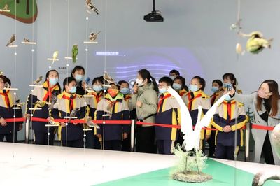 文博創(chuàng)新，IP出圈 看江蘇鹽城如何讓城市文化“活”起來(lái)